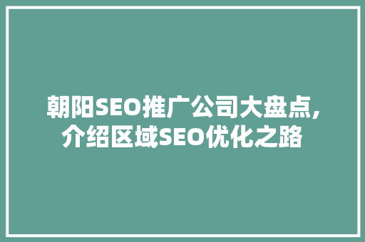 朝阳SEO推广公司大盘点,介绍区域SEO优化之路