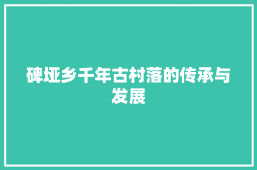 碑垭乡千年古村落的传承与发展