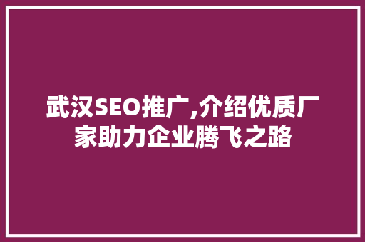 武汉SEO推广,介绍优质厂家助力企业腾飞之路
