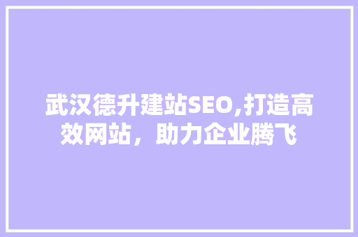 武汉德升建站SEO,打造高效网站，助力企业腾飞  第1张