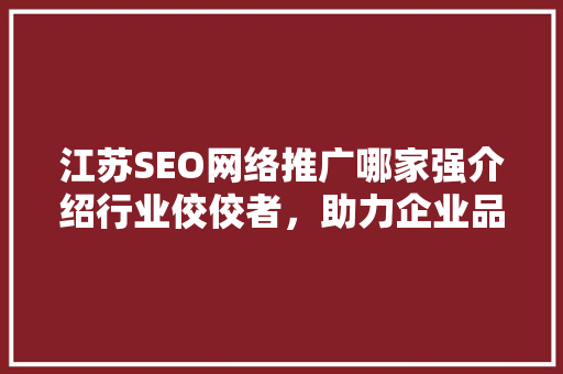 江苏SEO网络推广哪家强介绍行业佼佼者，助力企业品牌腾飞