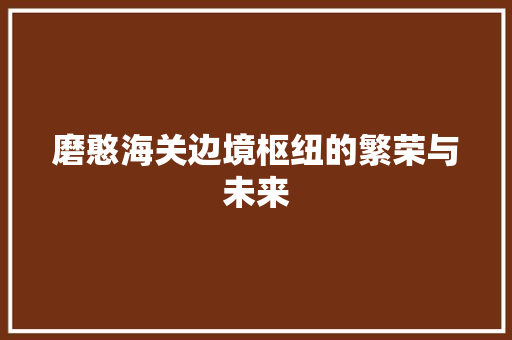 磨憨海关边境枢纽的繁荣与未来
