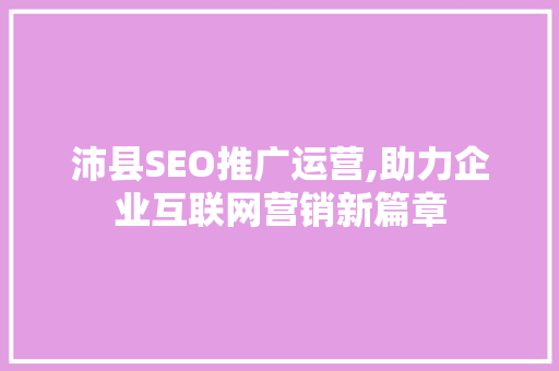 沛县SEO推广运营,助力企业互联网营销新篇章