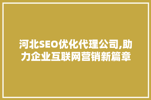河北SEO优化代理公司,助力企业互联网营销新篇章