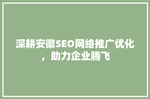 深耕安徽SEO网络推广优化，助力企业腾飞
