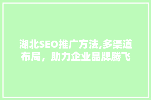 湖北SEO推广方法,多渠道布局，助力企业品牌腾飞  第1张
