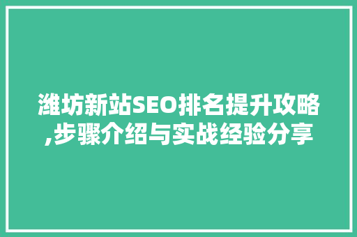潍坊新站SEO排名提升攻略,步骤介绍与实战经验分享