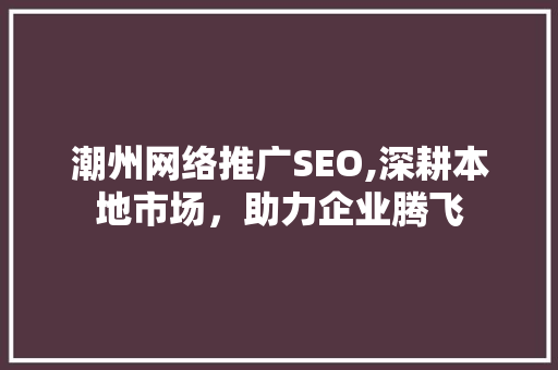 潮州网络推广SEO,深耕本地市场，助力企业腾飞