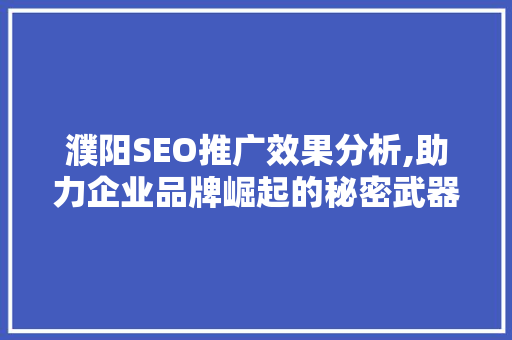濮阳SEO推广效果分析,助力企业品牌崛起的秘密武器
