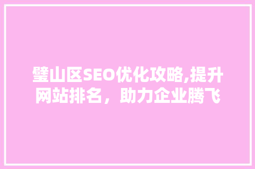璧山区SEO优化攻略,提升网站排名，助力企业腾飞