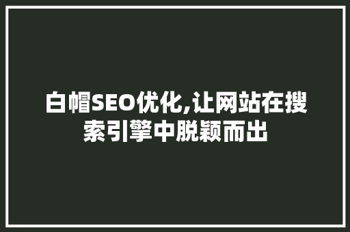 白帽SEO优化,让网站在搜索引擎中脱颖而出