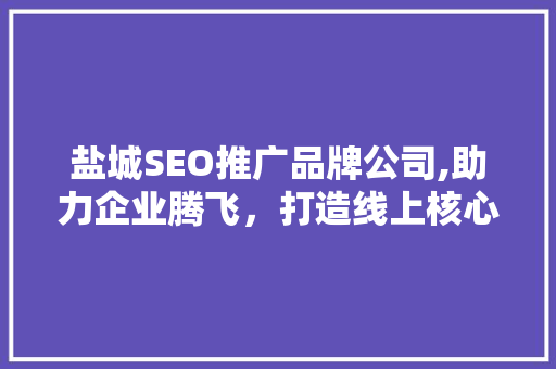 盐城SEO推广品牌公司,助力企业腾飞，打造线上核心竞争力