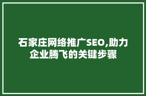 石家庄网络推广SEO,助力企业腾飞的关键步骤