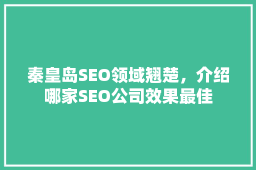 秦皇岛SEO领域翘楚，介绍哪家SEO公司效果最佳