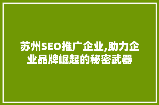 苏州SEO推广企业,助力企业品牌崛起的秘密武器