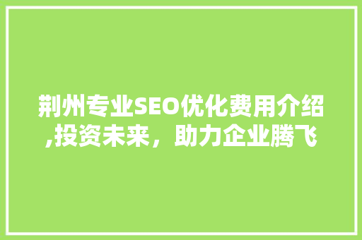 荆州专业SEO优化费用介绍,投资未来，助力企业腾飞