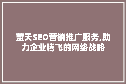 蓝天SEO营销推广服务,助力企业腾飞的网络战略