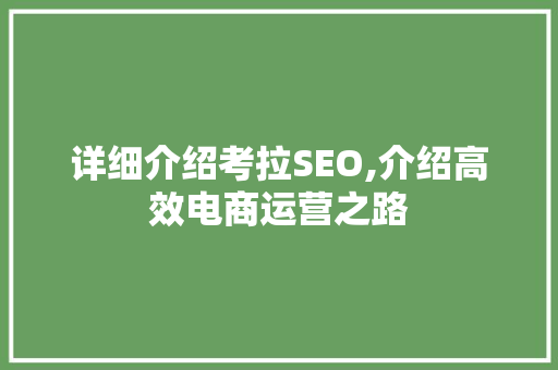 详细介绍考拉SEO,介绍高效电商运营之路  第1张