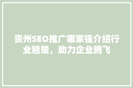贵州SEO推广哪家强介绍行业翘楚，助力企业腾飞