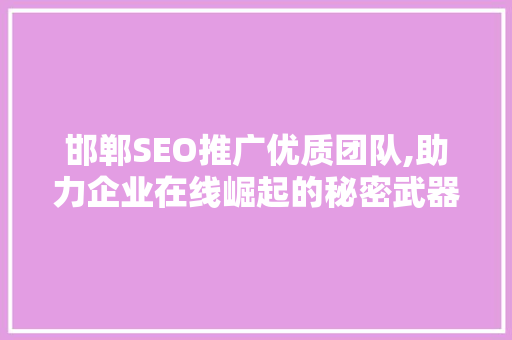 邯郸SEO推广优质团队,助力企业在线崛起的秘密武器