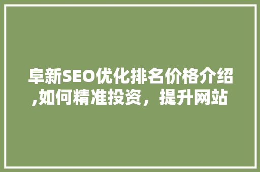 阜新SEO优化排名价格介绍,如何精准投资，提升网站排名