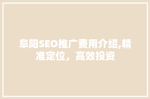 阜阳SEO推广费用介绍,精准定位，高效投资