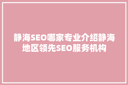 静海SEO哪家专业介绍静海地区领先SEO服务机构  第1张