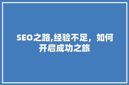SEO之路,经验不足，如何开启成功之旅  第1张