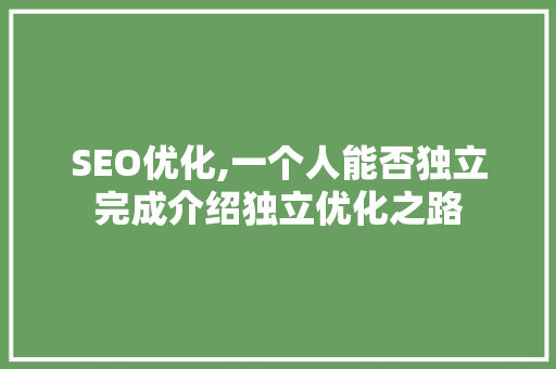 SEO优化,一个人能否独立完成介绍独立优化之路