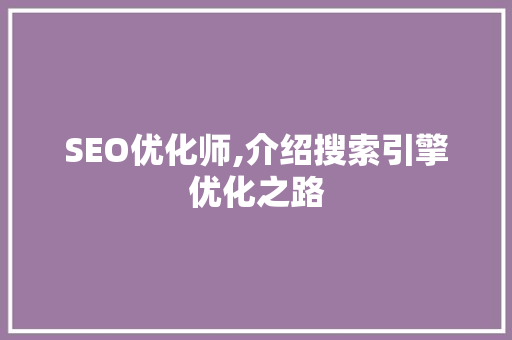 SEO优化师,介绍搜索引擎优化之路