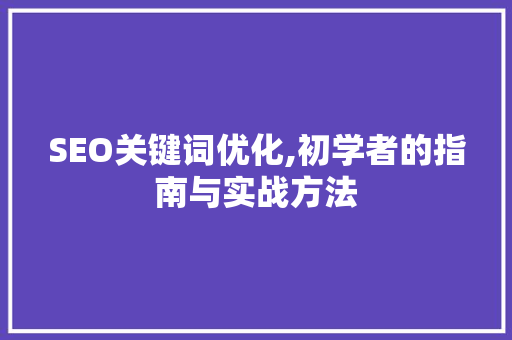 SEO关键词优化,初学者的指南与实战方法