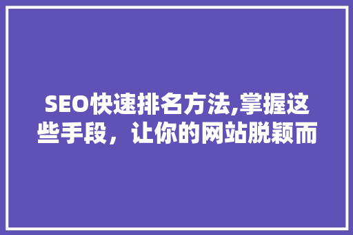 SEO快速排名方法,掌握这些手段，让你的网站脱颖而出！  第1张