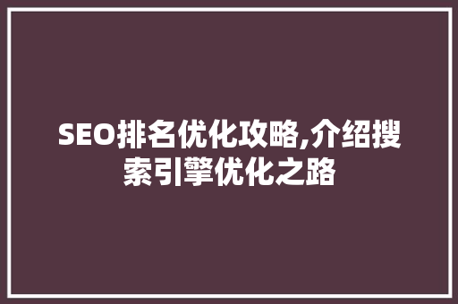 SEO排名优化攻略,介绍搜索引擎优化之路