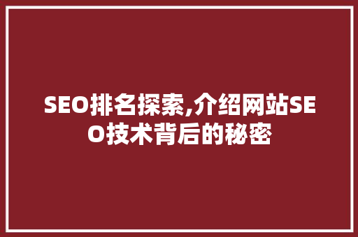 SEO排名探索,介绍网站SEO技术背后的秘密  第1张