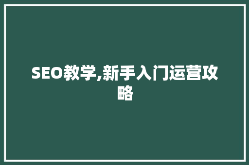 SEO教学,新手入门运营攻略