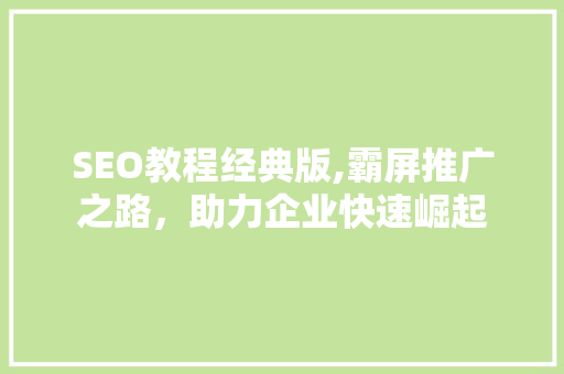 SEO教程经典版,霸屏推广之路，助力企业快速崛起