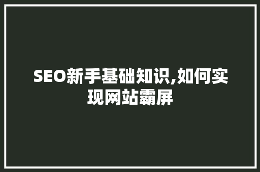SEO新手基础知识,如何实现网站霸屏