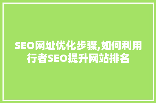 SEO网址优化步骤,如何利用行者SEO提升网站排名