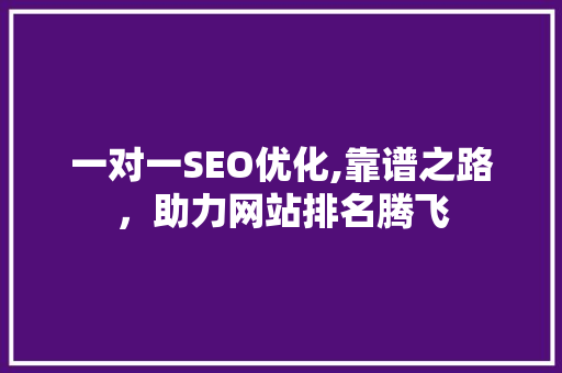 一对一SEO优化,靠谱之路，助力网站排名腾飞