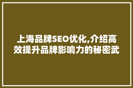 上海品牌SEO优化,介绍高效提升品牌影响力的秘密武器