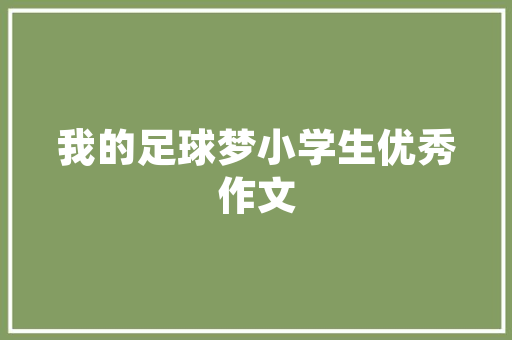 介绍SEO优化正规运营之路,如何选择专业团队助力企业腾飞