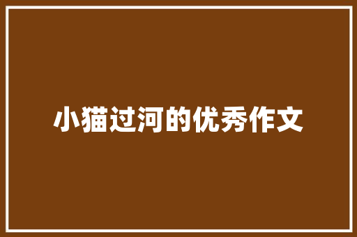介绍SEO分析工具,最新版功能与优化步骤全介绍