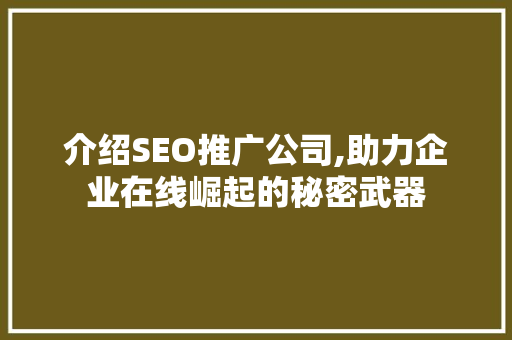 介绍SEO推广公司,助力企业在线崛起的秘密武器