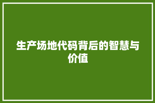 生产场地代码背后的智慧与价值