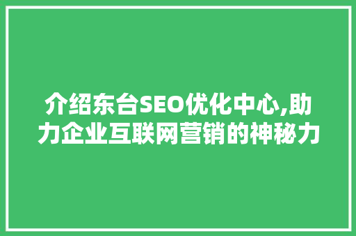 介绍东台SEO优化中心,助力企业互联网营销的神秘力量  第1张