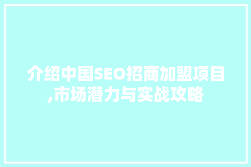 介绍中国SEO招商加盟项目,市场潜力与实战攻略