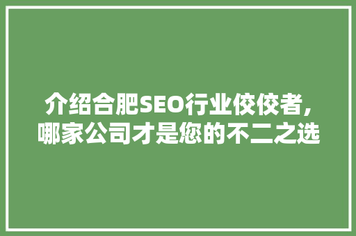 介绍合肥SEO行业佼佼者,哪家公司才是您的不二之选