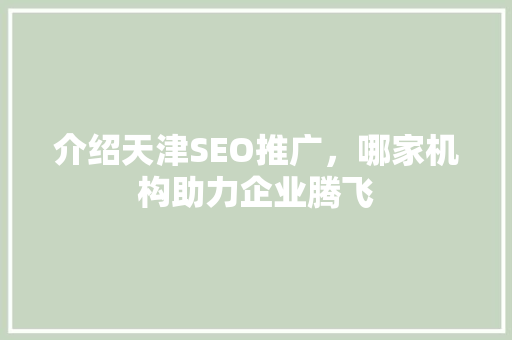介绍天津SEO推广，哪家机构助力企业腾飞