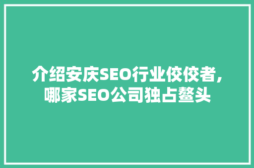 介绍安庆SEO行业佼佼者,哪家SEO公司独占鳌头