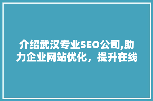 介绍武汉专业SEO公司,助力企业网站优化，提升在线竞争力